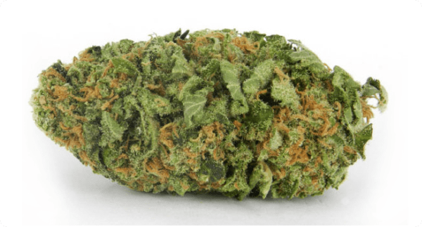 northern lights